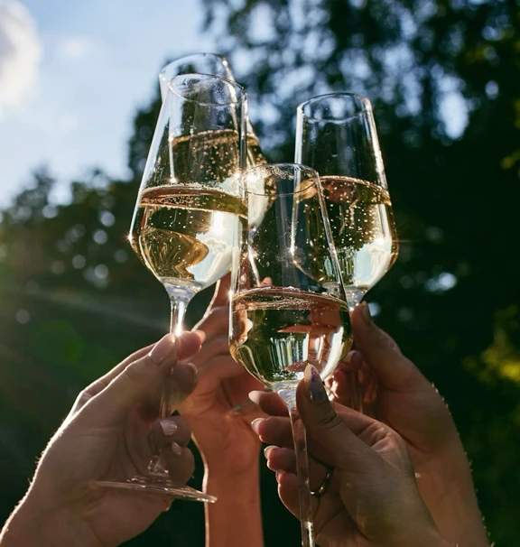Brindis y mingle